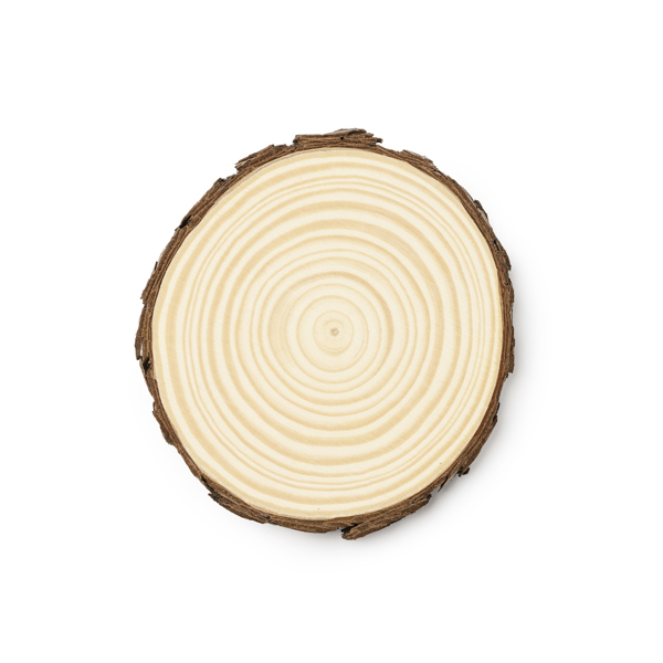 Fantástico set de 4 posavasos realizados en madera de pino — Pinea